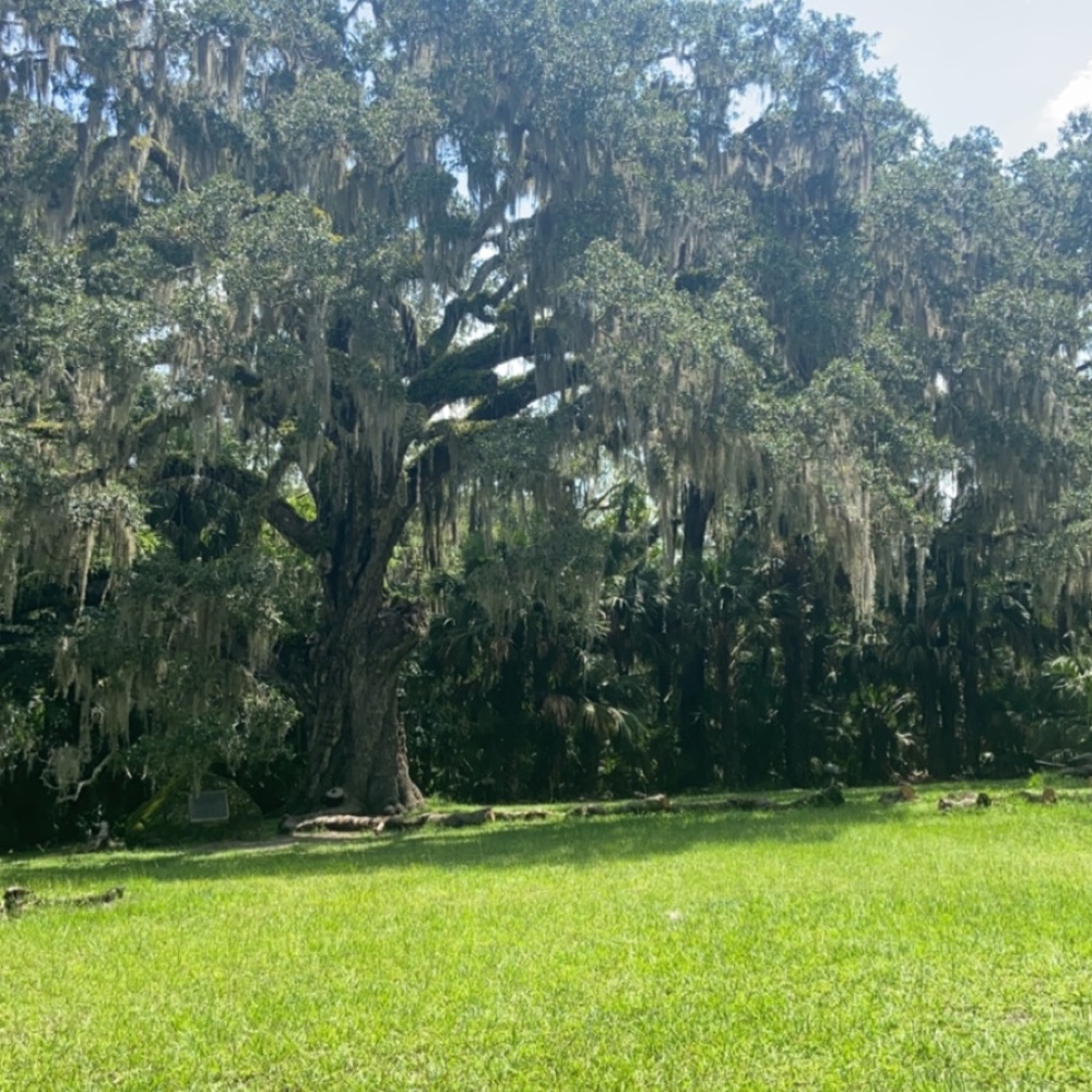 Meet your Posher, Ana